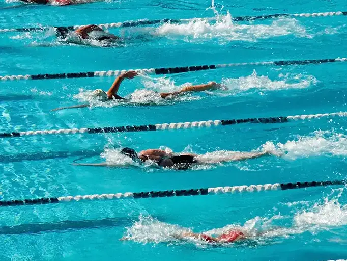 Schwimmer in den Bahnen, SVV Plauen